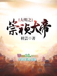 大明之崇祯大帝封面